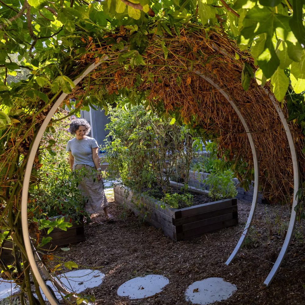 How Farmscape and Orso found the perfect project to highlight for the LA Times