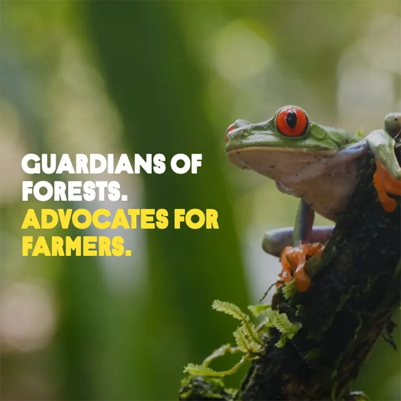 Supporting Forests and Farmers with Bulletproof